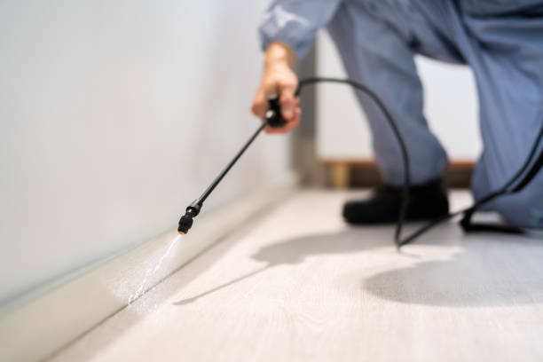 Licensed Cockroach Control service in Monongahela, PA - Nex Pest Control