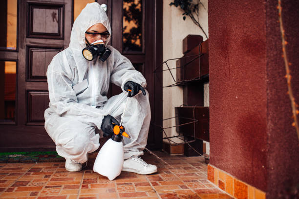 Reliable Cockroach Control contractor in Monongahela, PA by Nex Pest Control