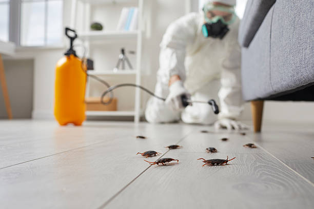 Trusted Cockroach Control service in Monongahela, PA - Nex Pest Control
